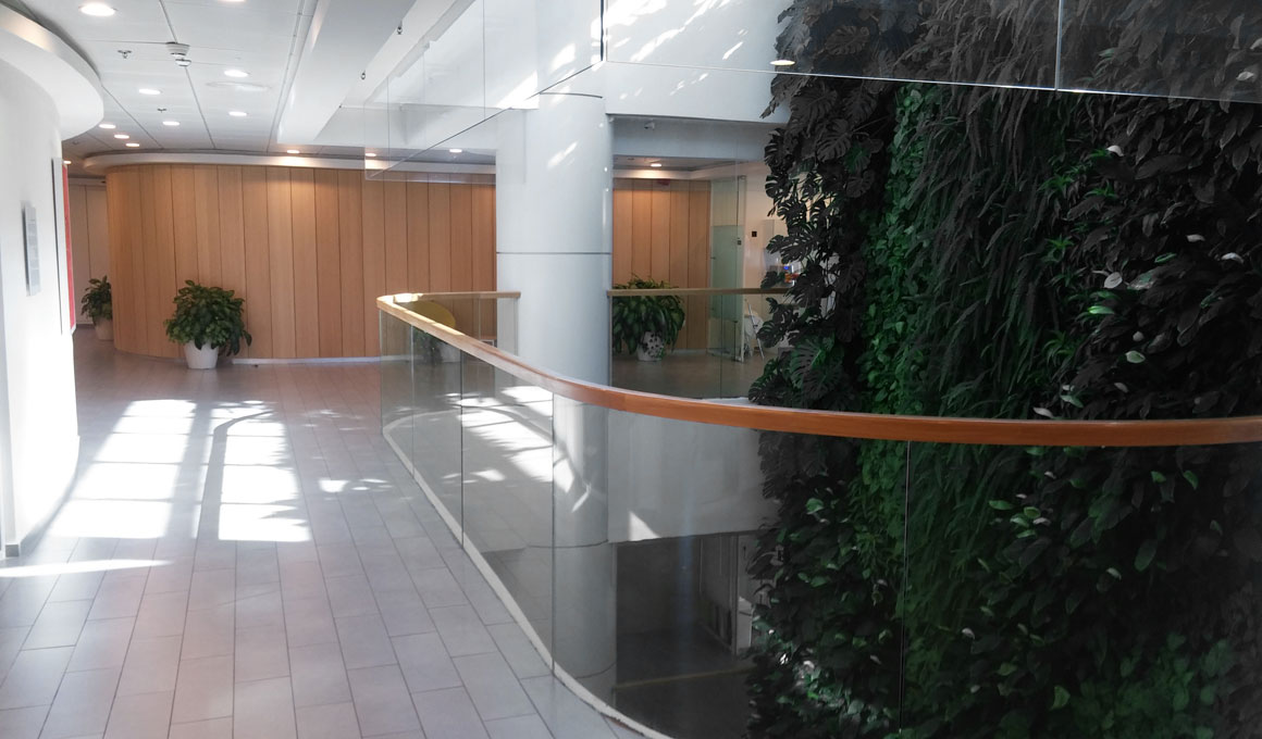 מסדרון ומדרגות