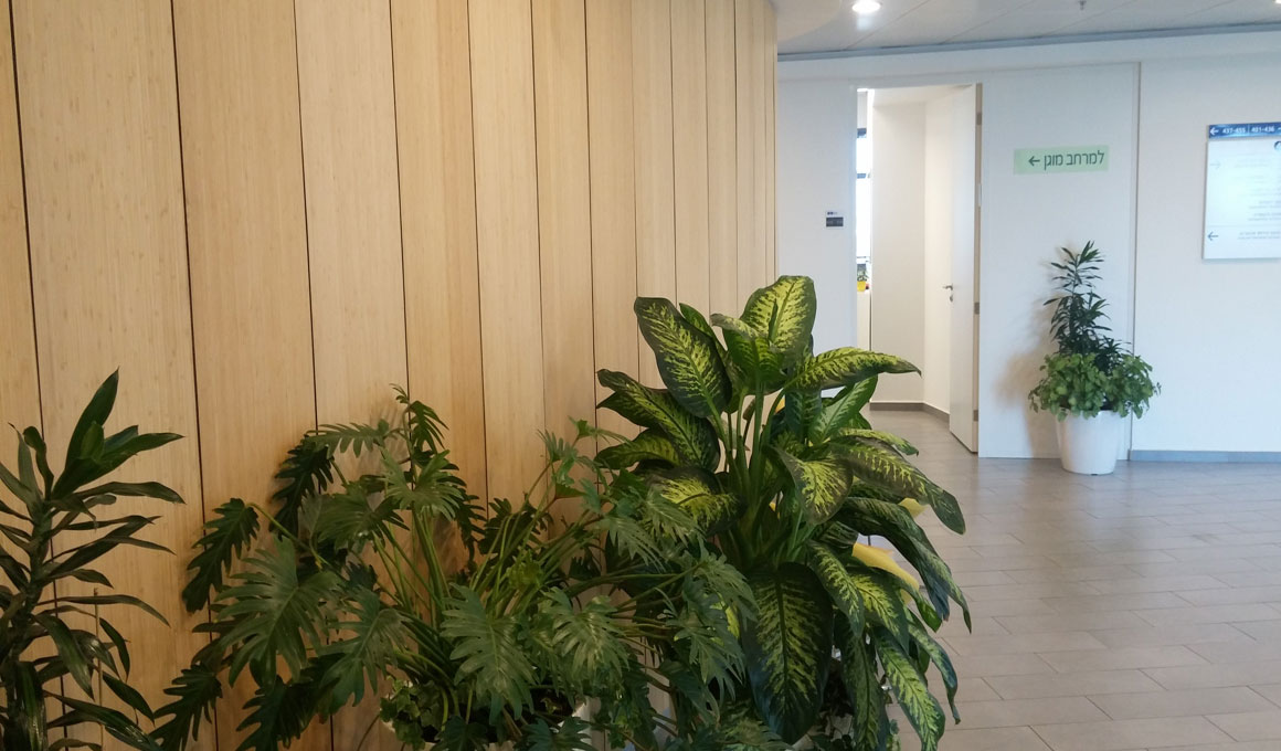 כניסות למשרדים
